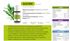 Phytoterápica Óleo Essencial De Alecrim - 10ML