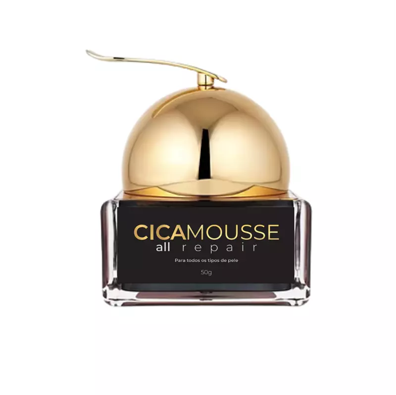 CICAMOUSSE - All Repair